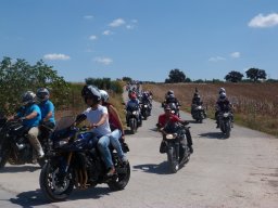 XVIII Concentracion - 2011